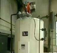 立式灌流蒸气锅炉/热水锅炉